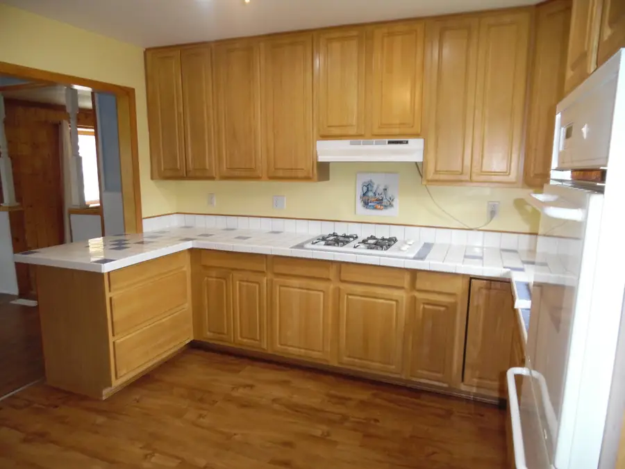 216 Miller Drive, Albion, MI 49224 - #3