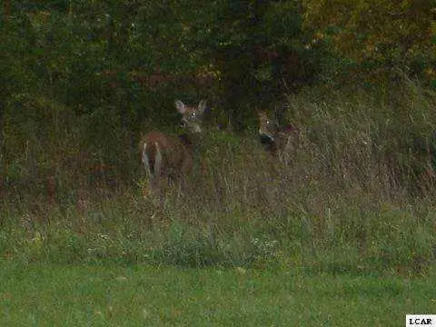 1007 SAW MILL CT, Adrian, MI 49221 - Image #1