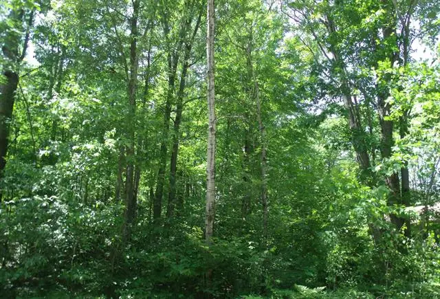 0 Butterfield AVE, Roscommon Township, MI 48629 - Image #2