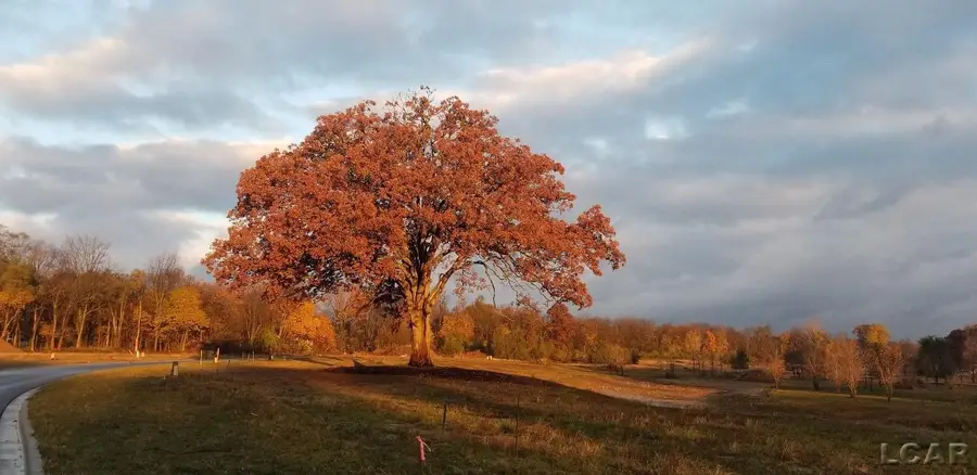 756 Eagle View WAY, Tecumseh, MI 49286 - #3