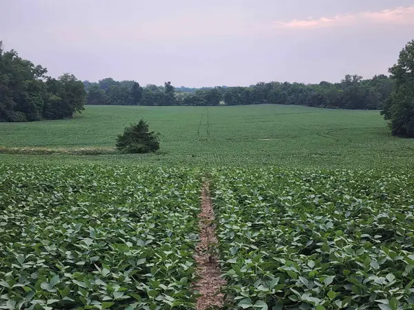 5000 Forrister RD, Adrian, MI 49221