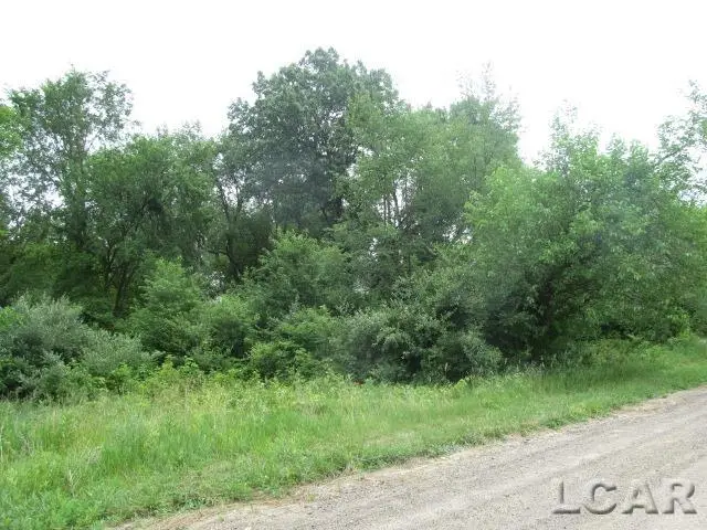 11620 Greenlawn DR, Lake Leann, MI 49282 - Image #3