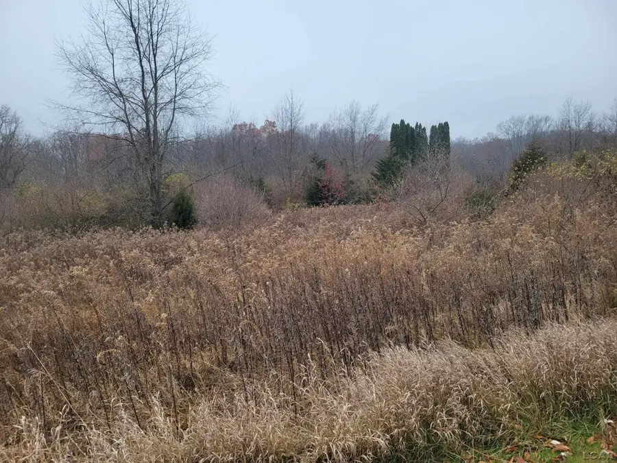 10140 Fairway DR, Jerome, MI 49249 - #2