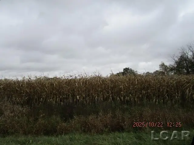 13001 BLK Bartlett RD, Clinton, MI 49236 - Image #3