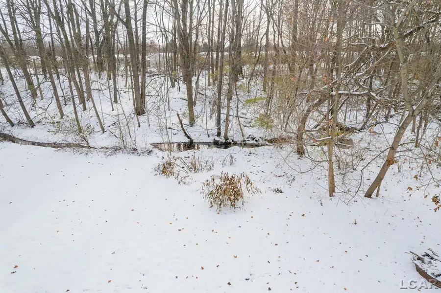 9249 TONNEBERGER DR, Tecumseh, MI 49286 - Image #2