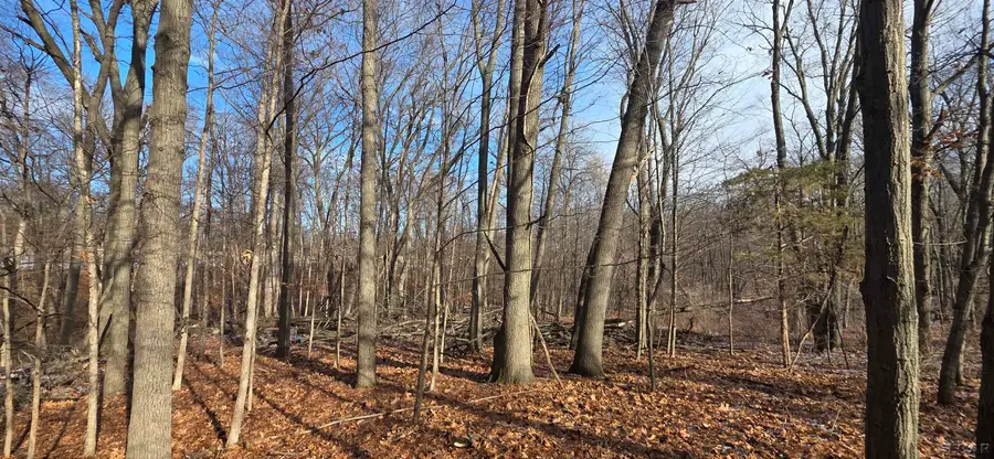 10000 BLK Sheeler RD, Onsted, MI 49265 - Image #2