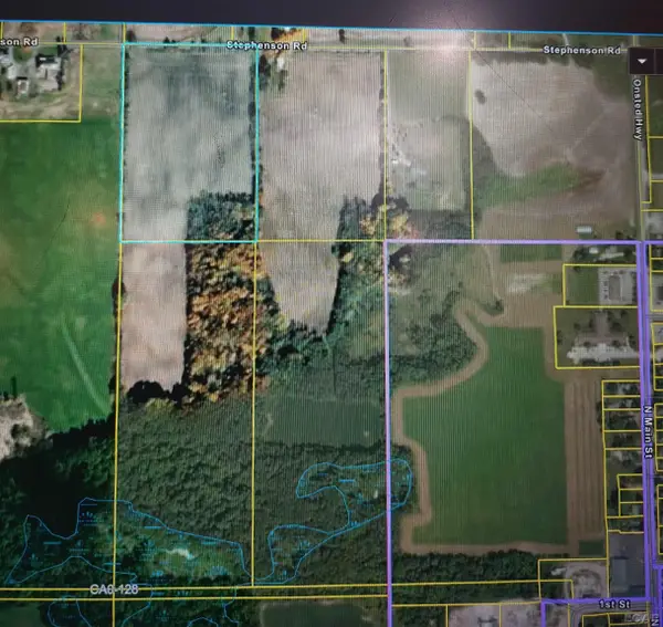 10000 Stephenson Rd Blk RD, Onsted, MI 49265