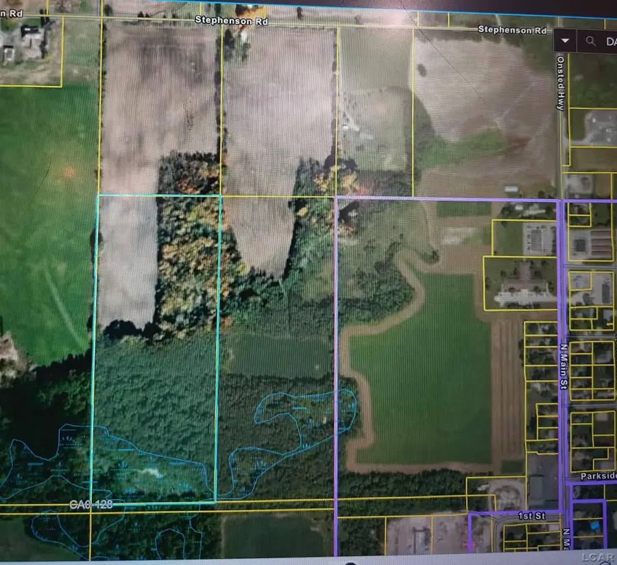 10000 Stephenson Rd Blk RD, Onsted, MI 49265 - #2