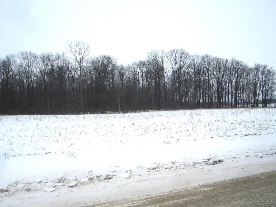 Lee Road RD, Waldron, MI 49288 - #3