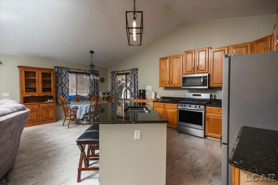 8266 Irish Mist DR, Onsted, MI 49265 - #3