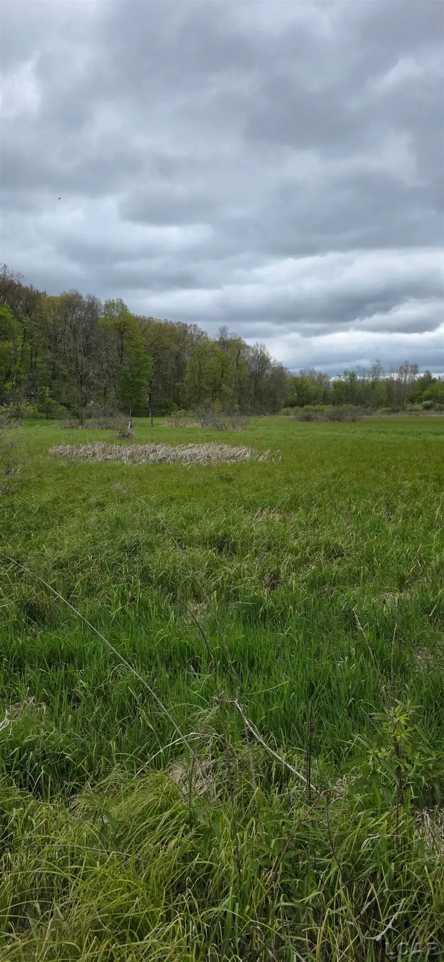 12000 Slee RD, Manitou Beach, MI 49253 - #2