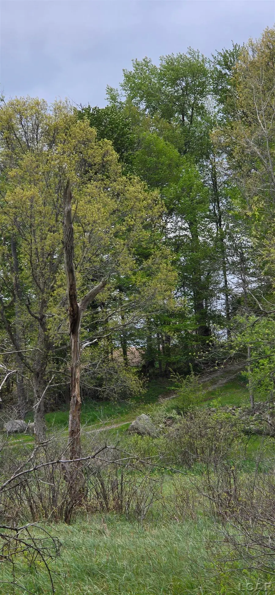12000 Slee RD, Manitou Beach, MI 49253 - #3