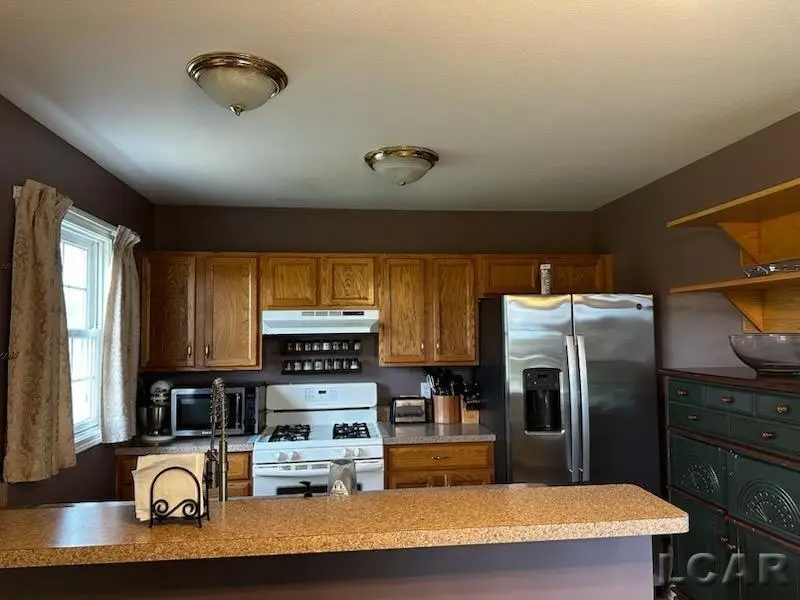 3978 Sandy Meadows DR, Adrian, MI 49221 - #2
