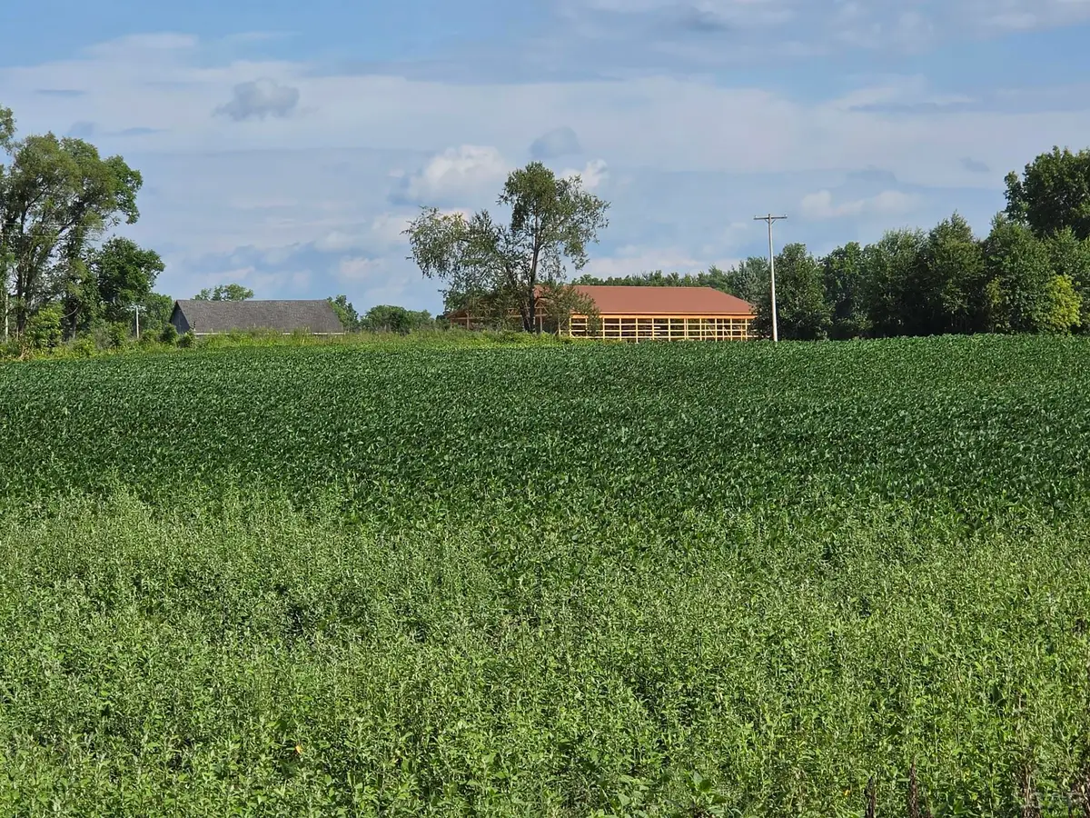 W Mosherville RD, Litchfield, MI 49252 - #1