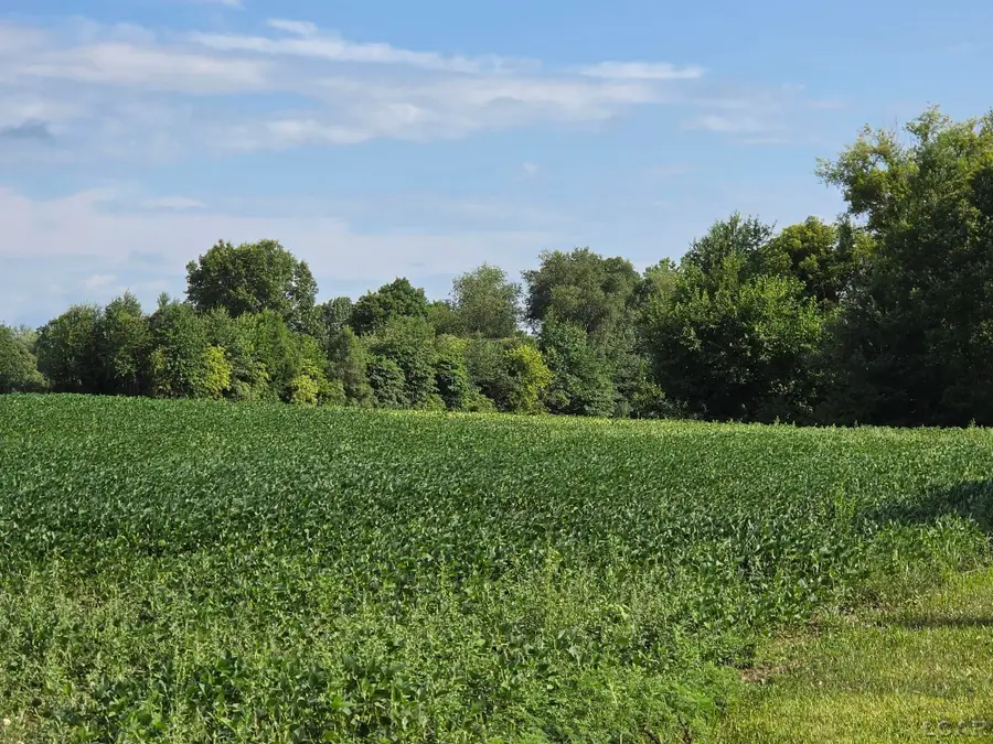 W Mosherville RD, Litchfield, MI 49252 - #2