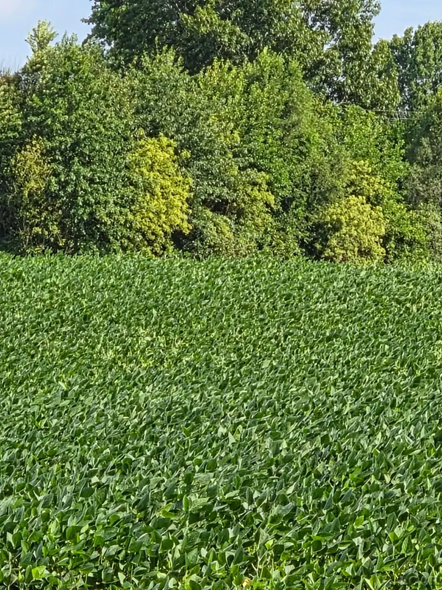 W Mosherville RD, Litchfield, MI 49252 - #3