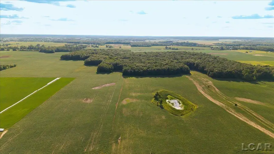 V/L S Pittsford RD, Pittsford, MI 49271 - #3