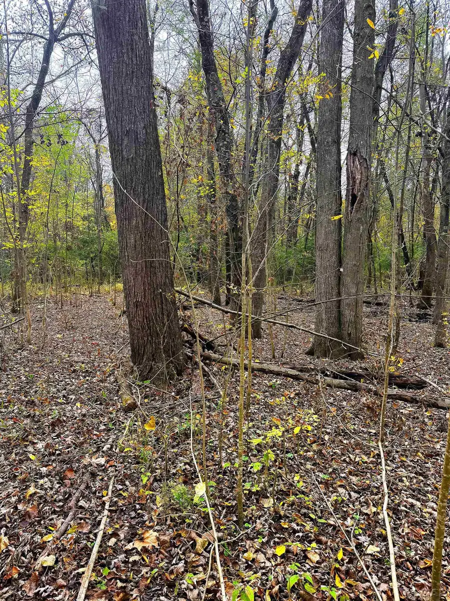 4000 Sutton RD, Britton, MI 49229 - #2