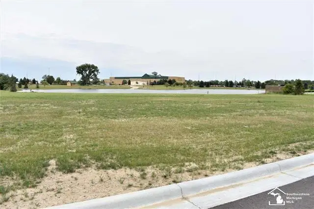16484 Tecumseh ST, Dundee, MI 48131 - #2
