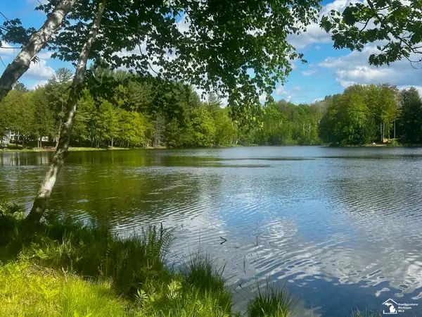 9846 Miramichi DR, Evart, MI 49631