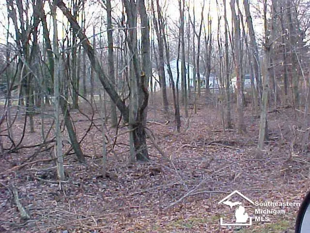 Lot 18/19 Onway DR, Ottawa Lake, MI 49267 - Image #2