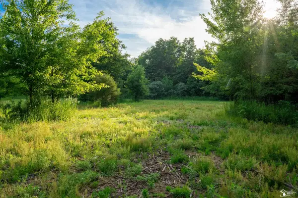 Parcel E Timbers RD, Carleton, MI 48117