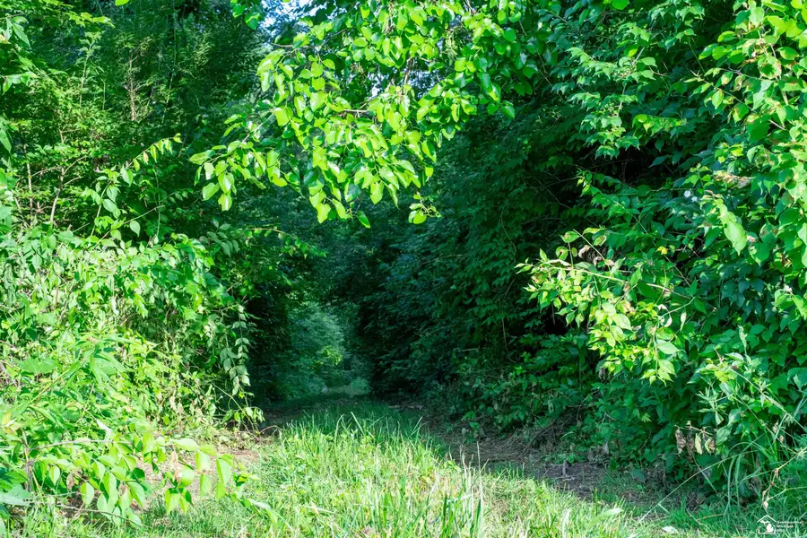 Parcel E Timbers RD, Carleton, MI 48117 - Image #3