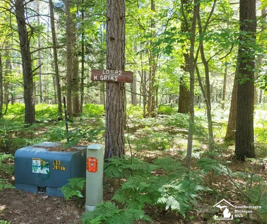 Lot 82 Evelyn AVE, Grayling, MI 49738 - Image #1