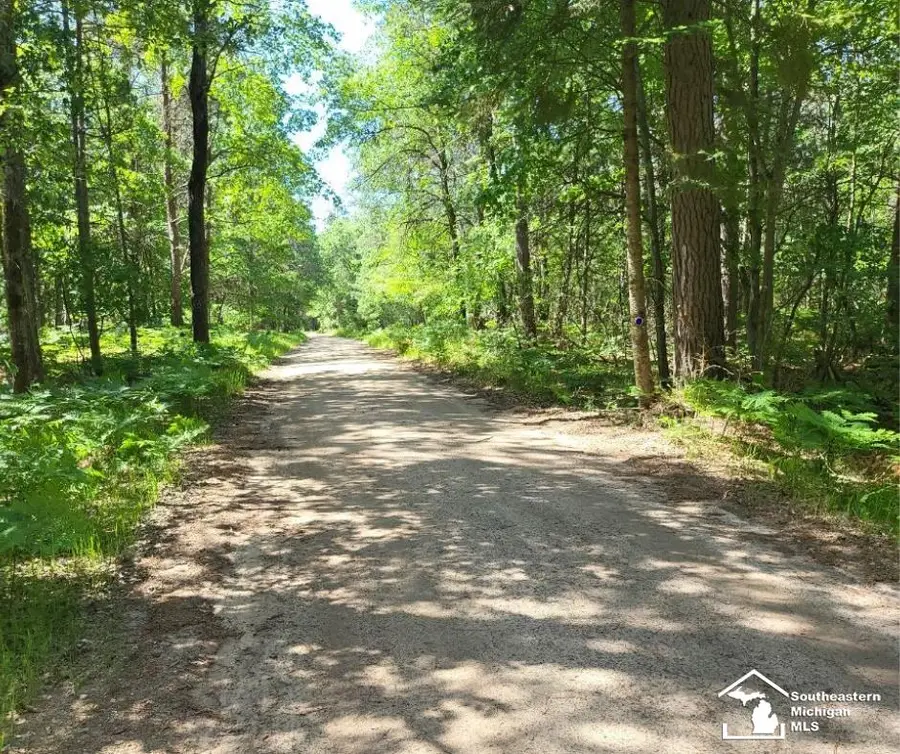 Lot 82 Evelyn AVE, Grayling, MI 49738 - Image #2
