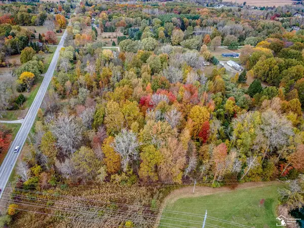 Parcel A Summerfield RD, Petersburg, MI 49270