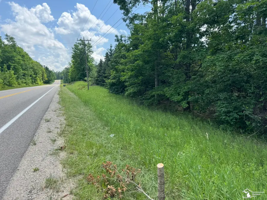 0000 Hayes Tower RD, Gaylord, MI 49735 - #3