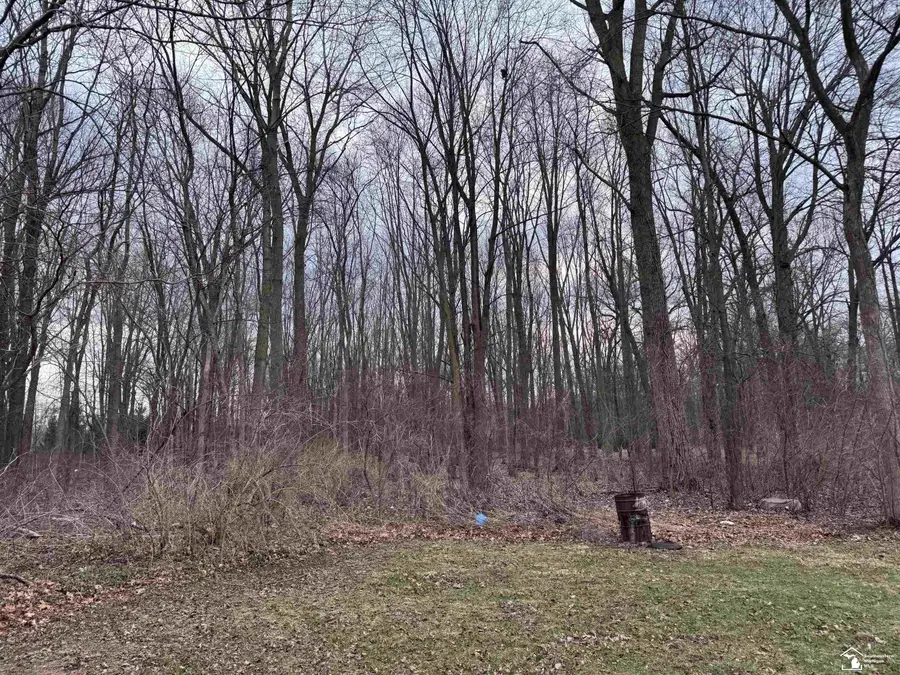 9404 Summerfield RD, Temperance, MI 48182 - #3