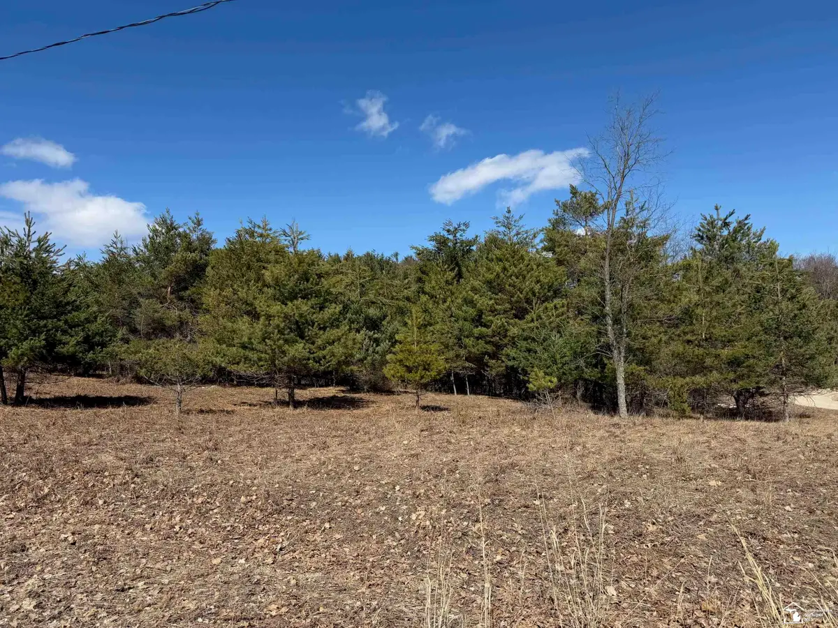 VL Lot 184 Chippewa Trail TRL, Evart, MI 49631 - #1