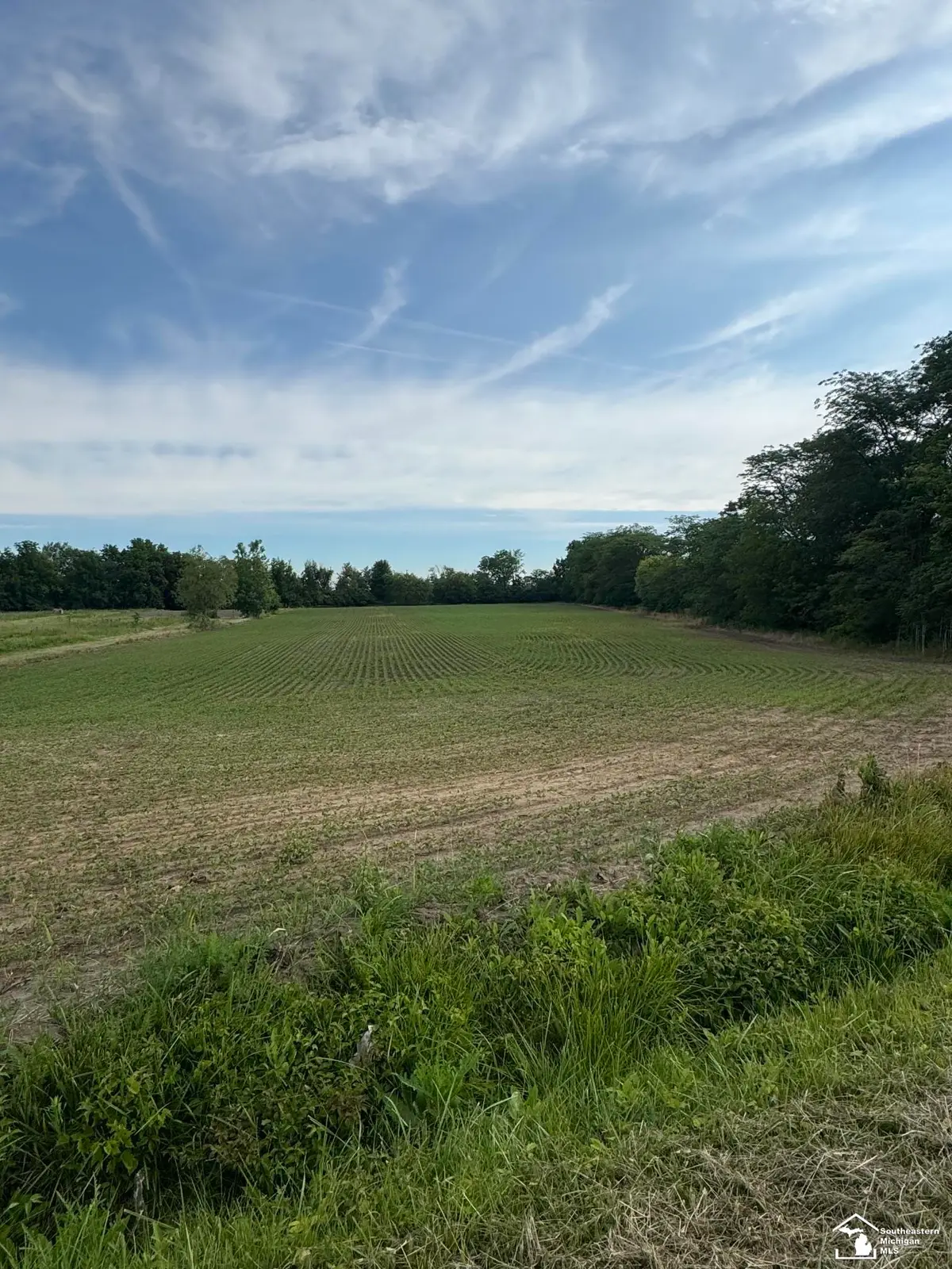 0 Dixon RD, Monroe, MI 48161 - #1