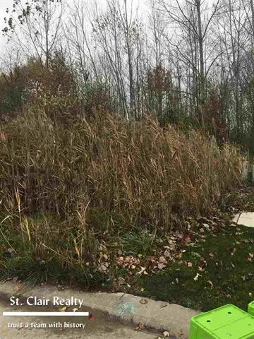 5148 Ivy LN, China Township, MI 48054 - Image #2