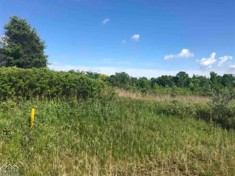 Wadhams RD, Saint Clair Township, MI 48079 - Image #2