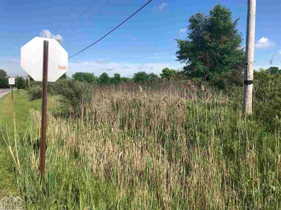 Wadhams RD, Saint Clair Township, MI 48079 - Image #3