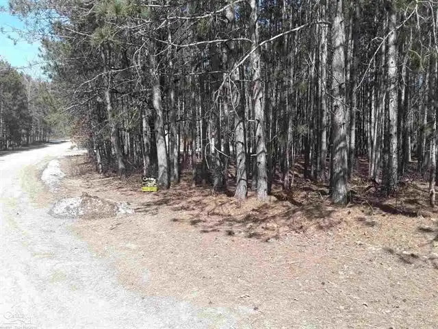 12380 Pine Mesa DR, Stanwood, MI 49346 - Image #1