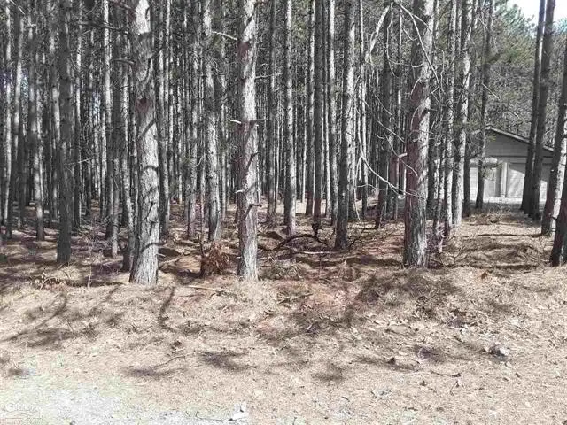 12380 Pine Mesa DR, Stanwood, MI 49346 - Image #3