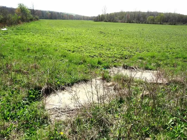 0 Gratiot RD, Lenox, MI 48048 - Image #3