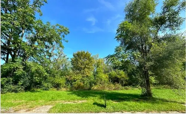 421 E Lorado AVE, Flint, MI 48505 - Image #1