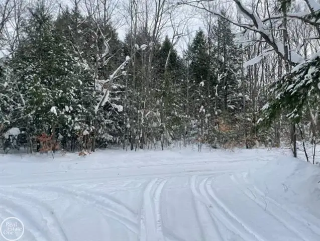 VL Kenyon TRL, Frederic, MI 49733 - #2