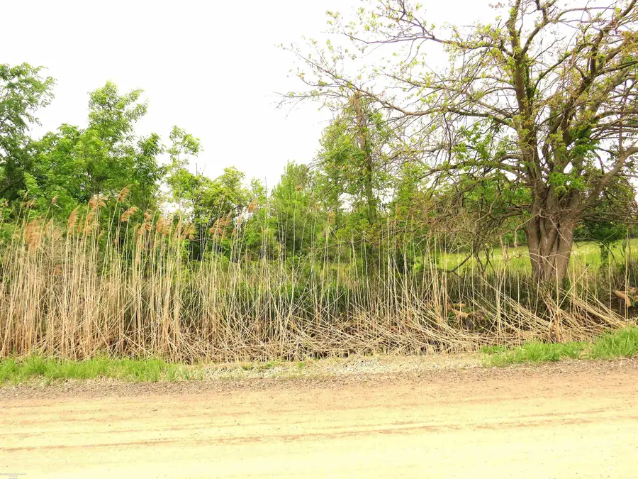 65002 Gratiot RD, Lenox Township, MI 48050 - Image #3