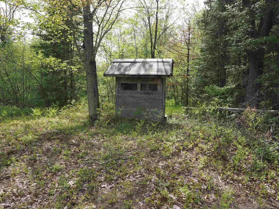 4011 Sandall RD, Alpena, MI 49707 - #2