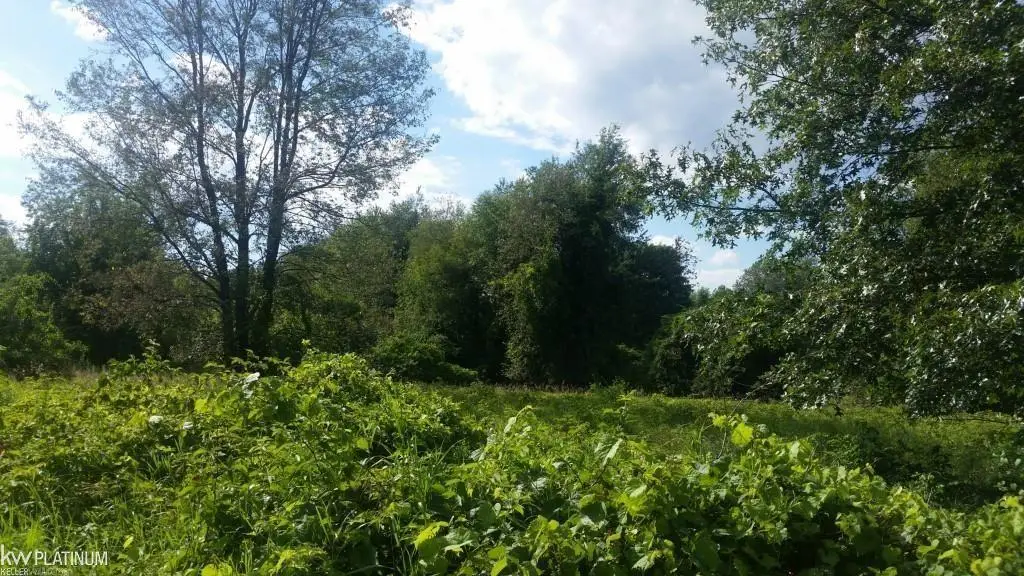 0 Victoria CT, Oxford, MI 48371 - #1