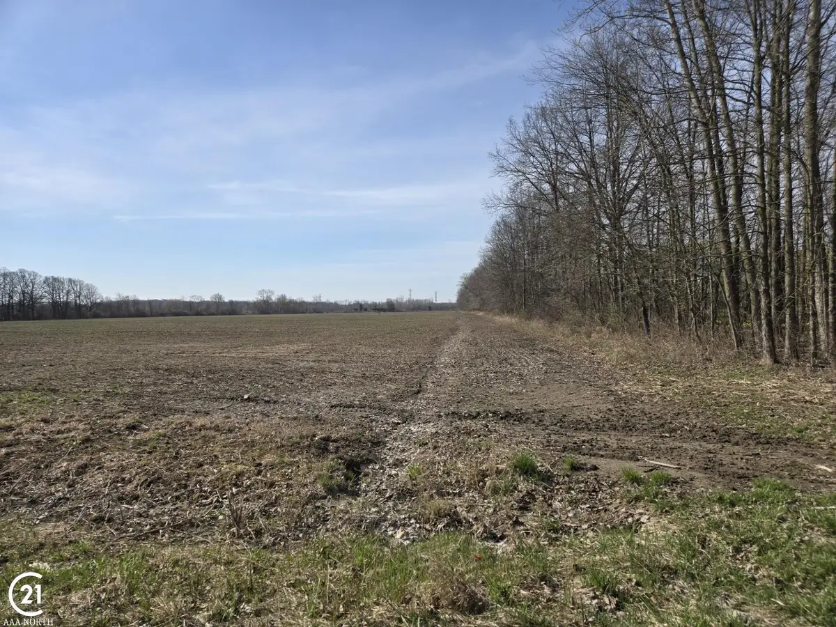 0 Weber (LOT B) RD, Richmond Township, MI 48063 - Image #1