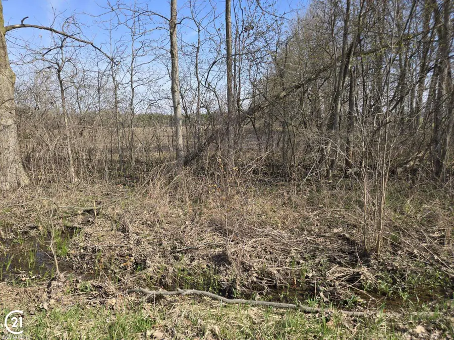 0 Meskill (Lot D) RD, Richmond Township, MI 48063 - Image #3