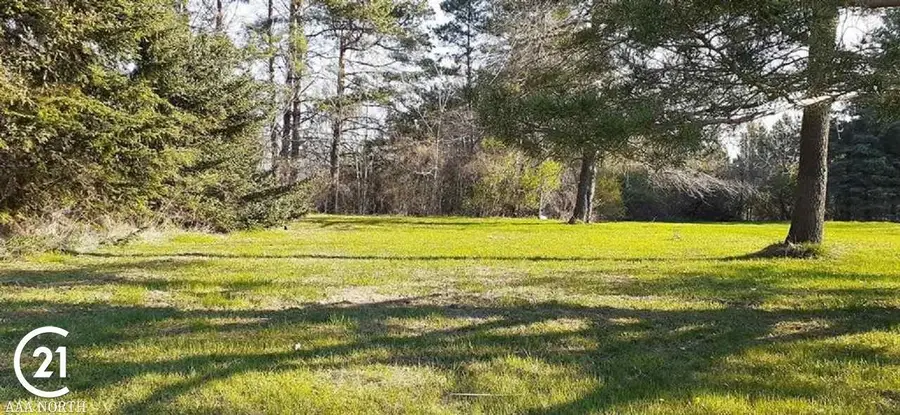 0 W Park (Lot 8) ST, Capac, MI 48014 - Image #2