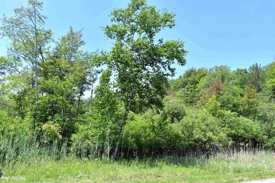 0 Oak Beach RD, Lake Township, MI 48467 - Image #2