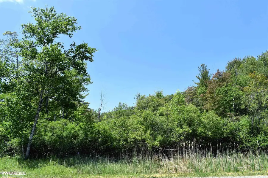 0 Oak Beach RD, Lake Township, MI 48467 - Image #3